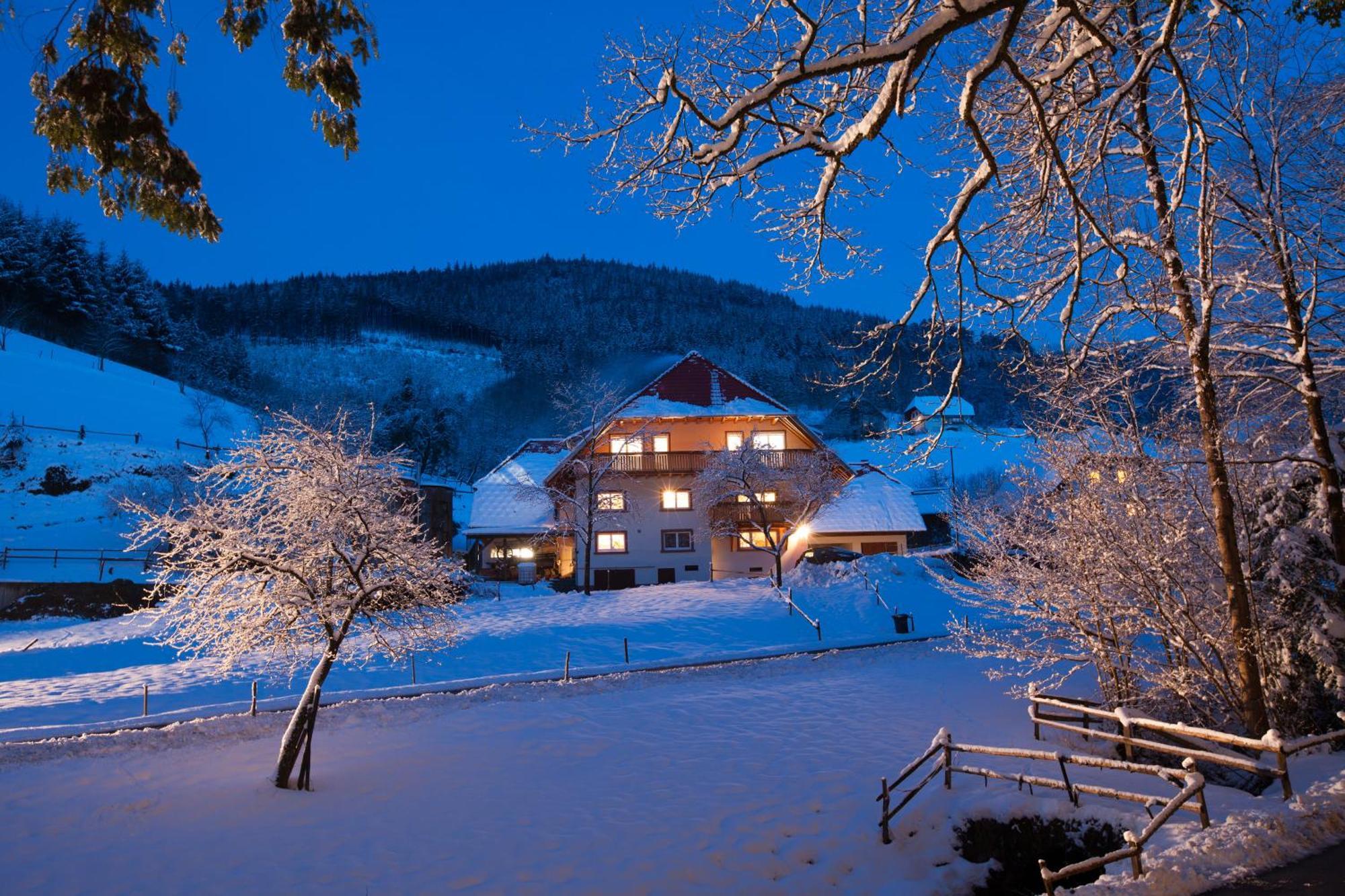 Отель Schaetzlehof Винден-им-Эльцталь Экстерьер фото