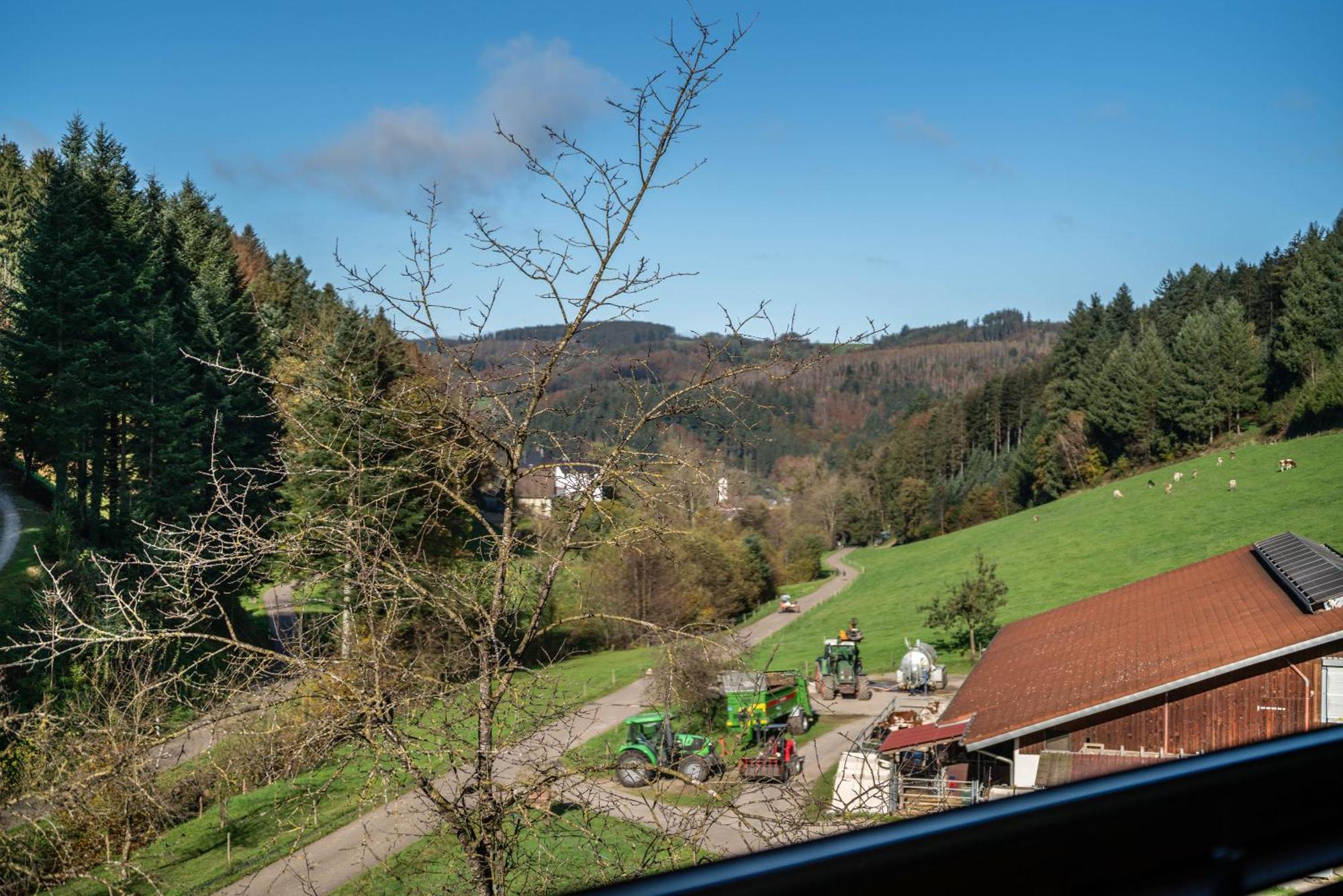 Отель Schaetzlehof Винден-им-Эльцталь Экстерьер фото