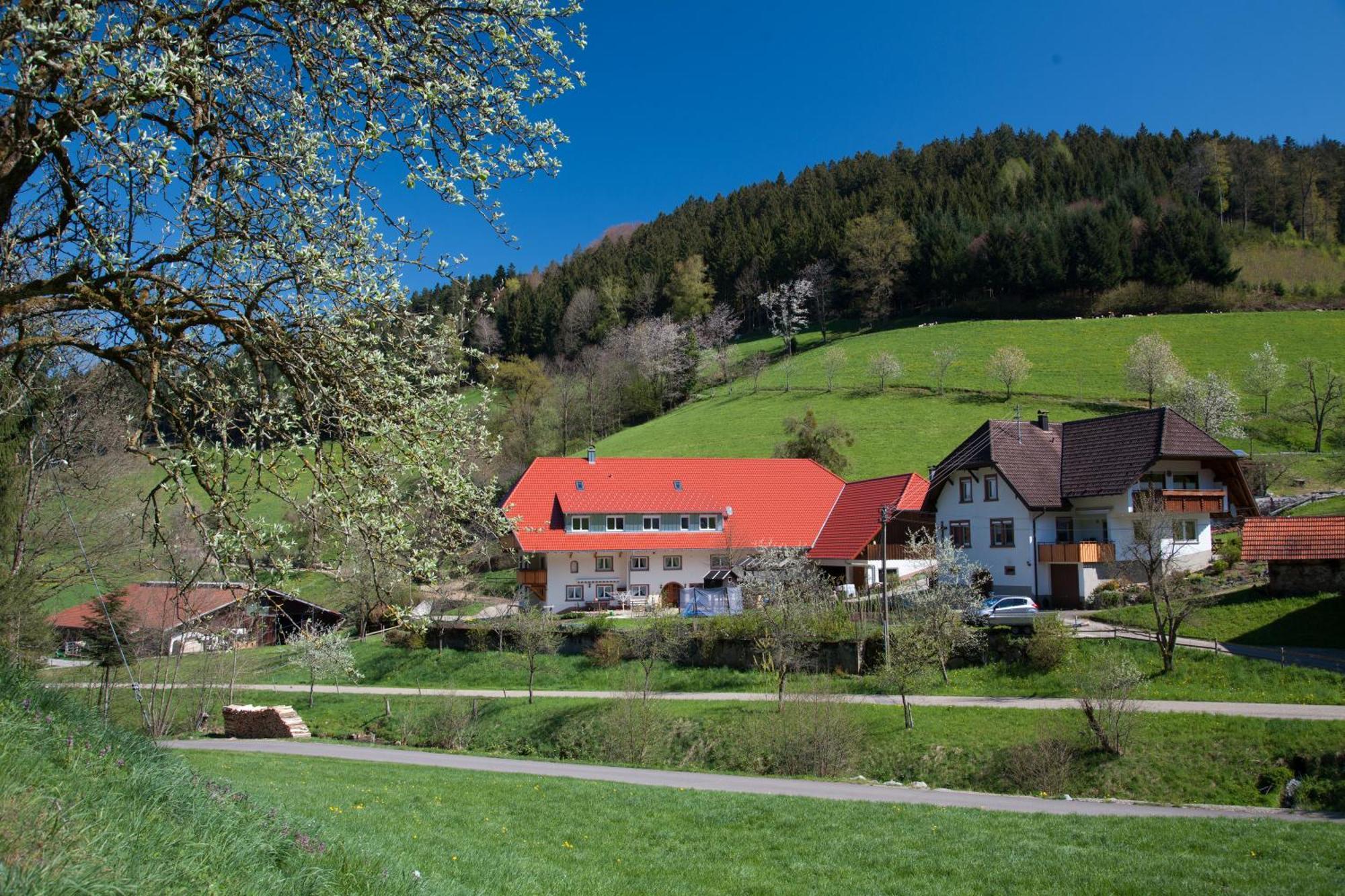 Отель Schaetzlehof Винден-им-Эльцталь Экстерьер фото